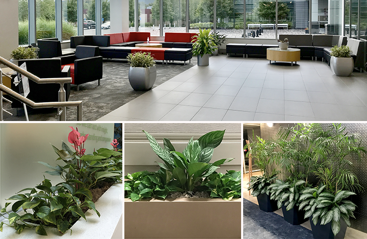 Installation Examples