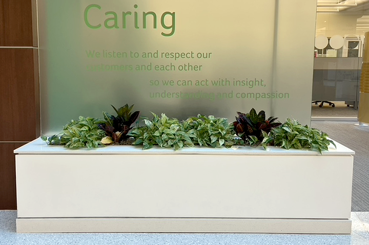 Built in planter with seasonal rotation