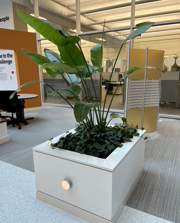 Large built-in planter
