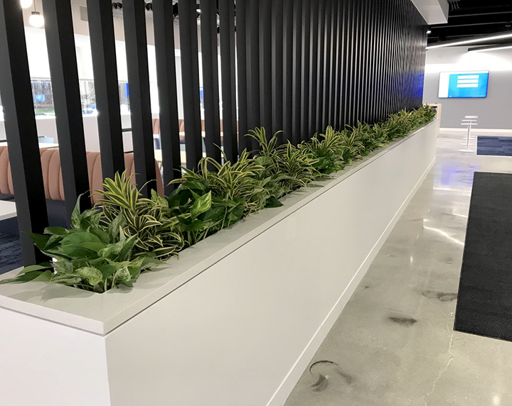 Long built-in planter