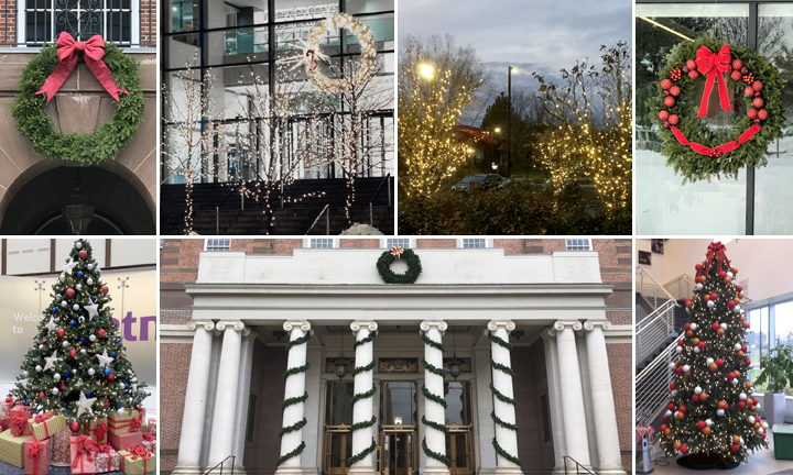 various holiday decorations, wreaths, trees, lights, in corporate settings